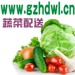為什么要吃有機蔬菜？廣州農(nóng)產(chǎn)品配送公司gzhdwl.cn為您解讀健康生活新風尚