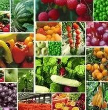 食藥監總局 堅持問題導向，加大食品農獸藥殘留治理力度，保障食用農產品安全