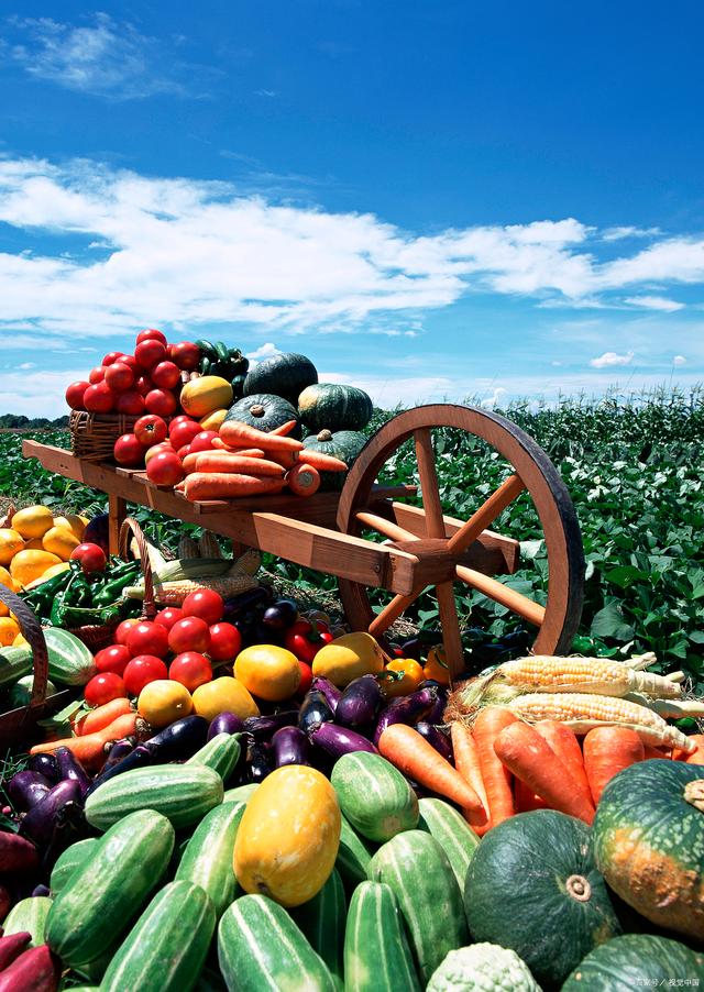 新規落地，守護舌尖安全——孫海山律師解讀《食用農產品市場銷售質量安全監督管理辦法》