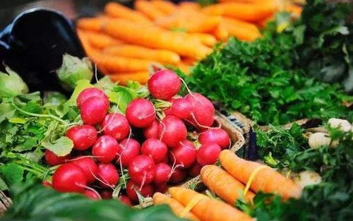 情暖公交與餐桌——2022年邯鄲10項民生實事聚焦特殊群體出行與食品安全