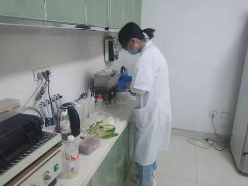 四大農貿市場抽檢結果公布，36批次食用農產品安全有保障